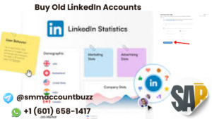 Buy Old LinkedIn Accounts 